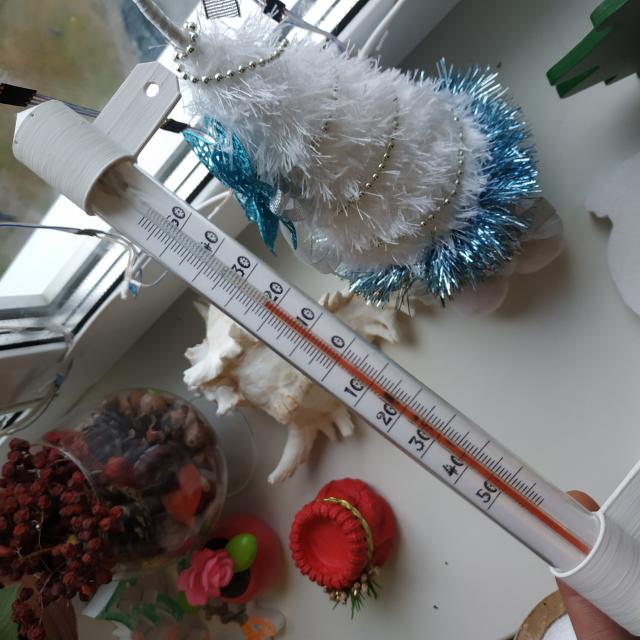 Repair of a thermometer with a 3D printer